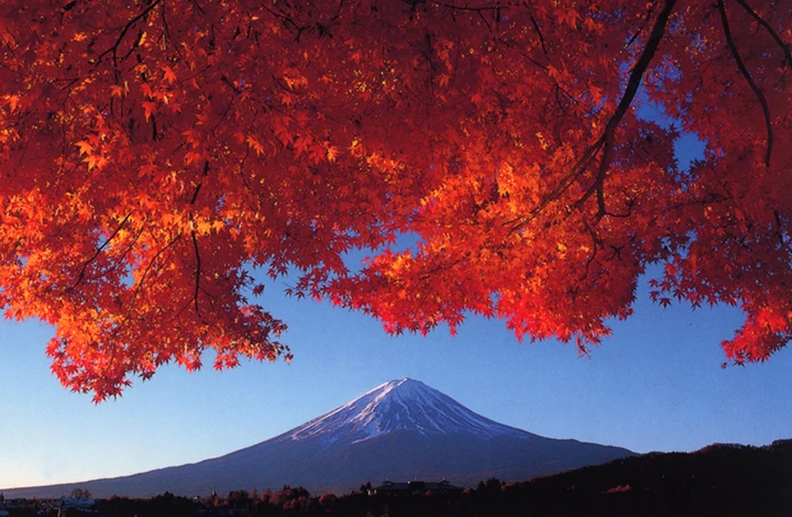 富士山近郊秋景，红叶与富士山